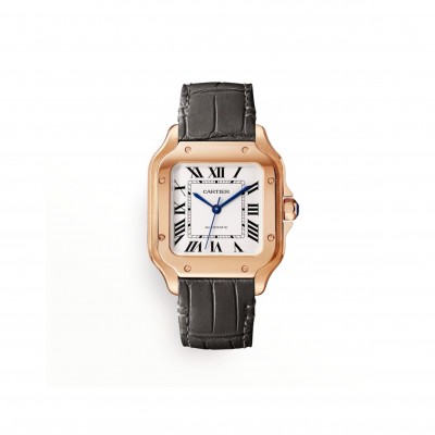CARTIER SANTOS DE CARTIER WATCH WGSA0028